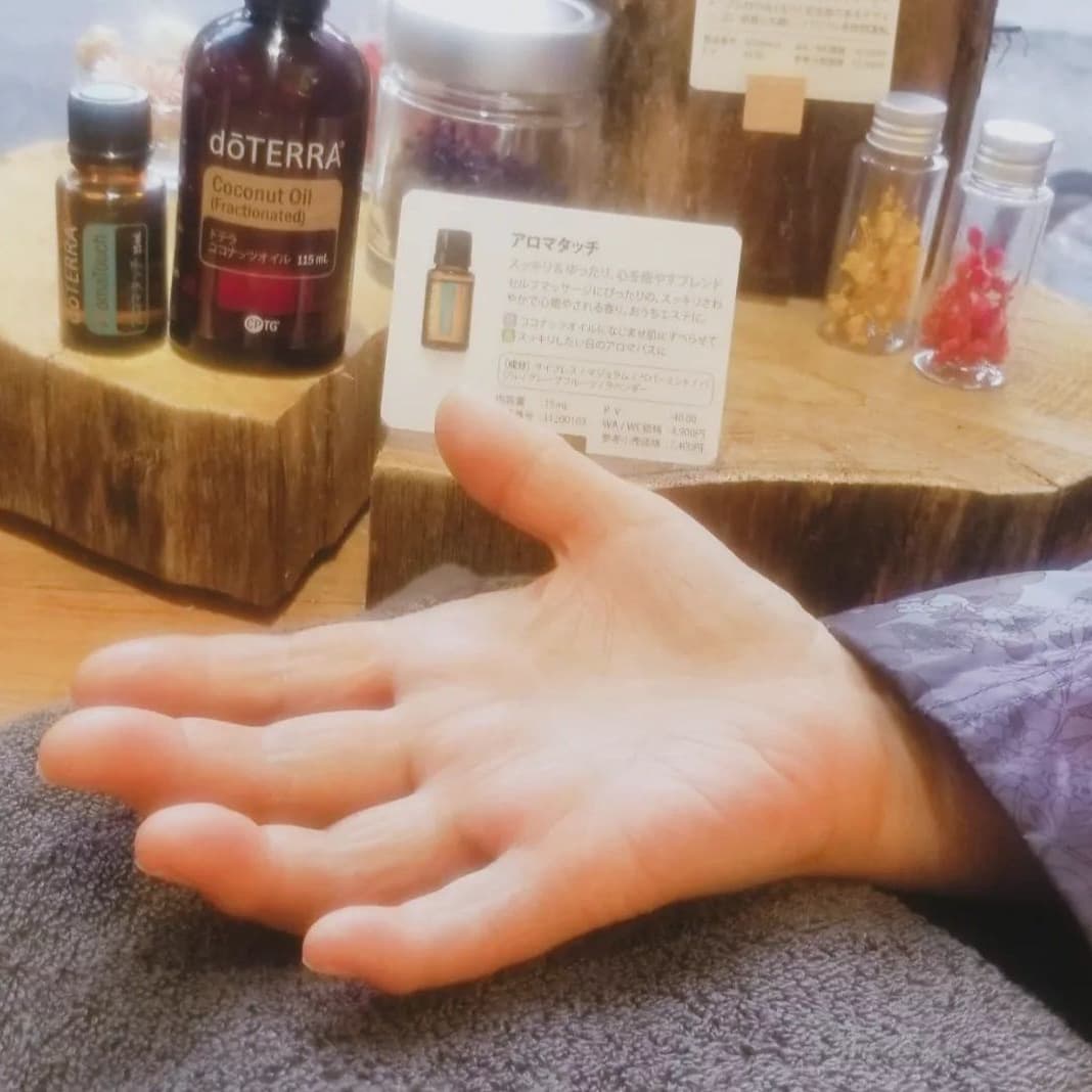 軽井沢　犬　散歩