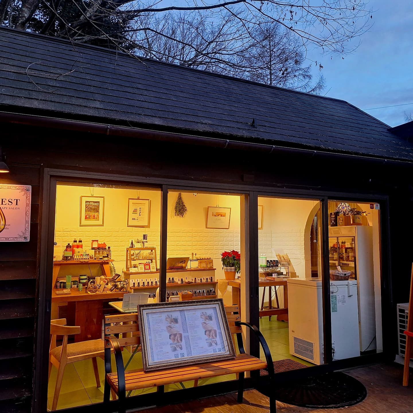 軽井沢　犬　散歩